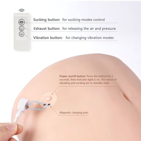 Automatic Vibrating Sucking Lifelike Size Masturbator with Dual Entry Plump Butt